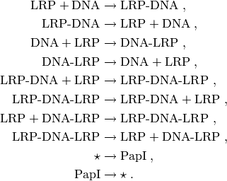 \textrm{LRP} + \textrm{DNA} & \xrightarrow{} \textrm{LRP-DNA} \; , \\
\textrm{LRP-DNA} & \xrightarrow{} \textrm{LRP} + \textrm{DNA} \; , \\
\textrm{DNA} + \textrm{LRP} & \xrightarrow{} \textrm{DNA-LRP} \; , \\
\textrm{DNA-LRP} & \xrightarrow{} \textrm{DNA} + \textrm{LRP} \; , \\
\textrm{LRP-DNA} + \textrm{LRP} & \xrightarrow{} \textrm{LRP-DNA-LRP} \; , \\
\textrm{LRP-DNA-LRP} & \xrightarrow{} \textrm{LRP-DNA} + \textrm{LRP} \; , \\
\textrm{LRP} + \textrm{DNA-LRP} & \xrightarrow{} \textrm{LRP-DNA-LRP} \; , \\
\textrm{LRP-DNA-LRP} & \xrightarrow{} \textrm{LRP} + \textrm{DNA-LRP} \; , \\
\star & \xrightarrow{} \textrm{PapI} \; , \\
\textrm{PapI} & \xrightarrow{} \star \; .